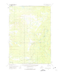 Download a high-resolution, GPS-compatible USGS topo map for Lime Hills B-5, AK (1975 edition)