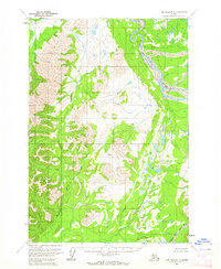 Download a high-resolution, GPS-compatible USGS topo map for Lime Hills D-5, AK (1964 edition)