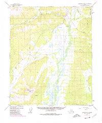 Topo map Livengood B-4 Alaska