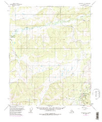 Topo map Livengood C-4 Alaska