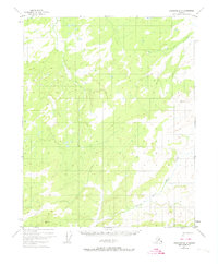 Topo map Livengood D-3 Alaska