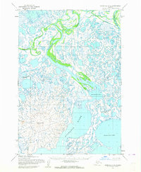 Download a high-resolution, GPS-compatible USGS topo map for Marshall C-8, AK (1964 edition)