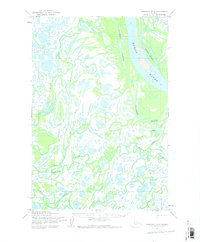 Download a high-resolution, GPS-compatible USGS topo map for Marshall D-4, AK (1973 edition)