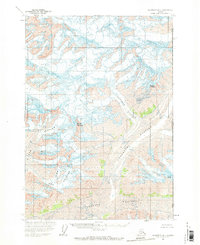 Topo map McCarthy A-1 Alaska