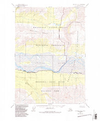 Download a high-resolution, GPS-compatible USGS topo map for McCarthy A-4, AK (1987 edition)