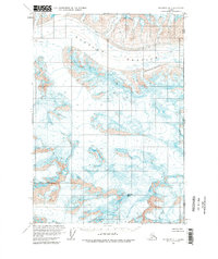 Topo map McCarthy B-1 Alaska