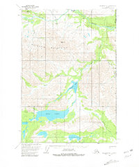 Download a high-resolution, GPS-compatible USGS topo map for McCarthy D-1, AK (1981 edition)