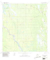 Topo map McGrath C-3 Alaska