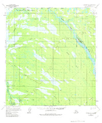 Topo map McGrath D-3 Alaska