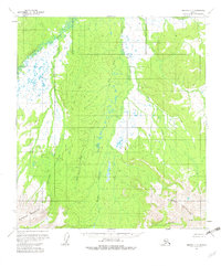 Topo map Medfra C-4 Alaska