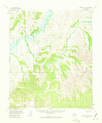 Download a high-resolution, GPS-compatible USGS topo map for Melozitna A-4, AK (1974 edition)