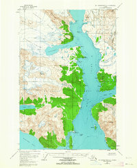 Download a high-resolution, GPS-compatible USGS topo map for Mount Fairweather D-1, AK (1963 edition)