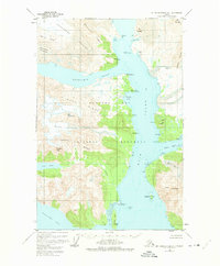 Download a high-resolution, GPS-compatible USGS topo map for Mount Fairweather D-1, AK (1975 edition)