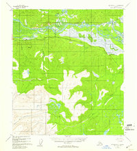 preview thumbnail of historical topo map of Southeast Fairbanks County, AK in 1955