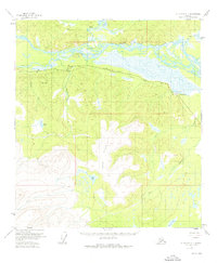 Download a high-resolution, GPS-compatible USGS topo map for Mount Hayes C-1, AK (1976 edition)