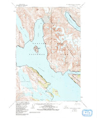 Topo map Mt. Fairweather D-2 Alaska