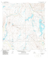 Topo map Mt. Hayes A-4 Alaska