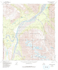 Topo map Nabesna B-4 Alaska