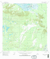 Topo map Nabesna C-2 Alaska