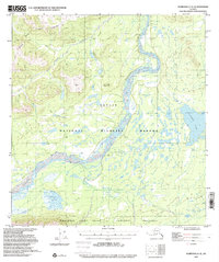 Topo map Nabesna C-3 Alaska