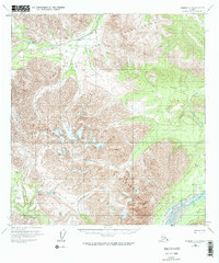 Download a high-resolution, GPS-compatible USGS topo map for Nabesna C-4, AK (1974 edition)