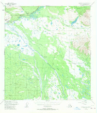 Topo map Nabesna C-6 Alaska