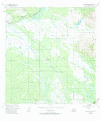 Download a high-resolution, GPS-compatible USGS topo map for Nabesna C-6, AK (1984 edition)