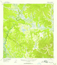 Topo map Nabesna D-1 Alaska