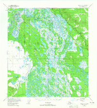 Topo map Nabesna D-2 Alaska