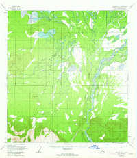 Topo map Nabesna D-3 Alaska