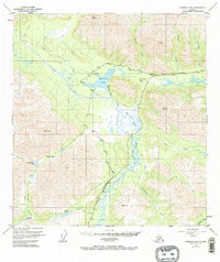 Download a high-resolution, GPS-compatible USGS topo map for Nabesna D-6, AK (1970 edition)