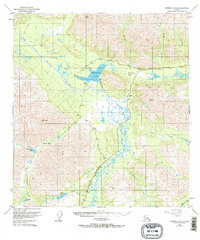 Download a high-resolution, GPS-compatible USGS topo map for Nabesna D-6, AK (1984 edition)