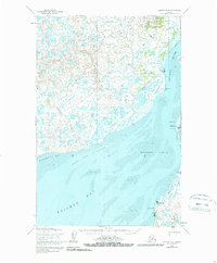 Download a high-resolution, GPS-compatible USGS topo map for Naknek D-4, AK (1981 edition)