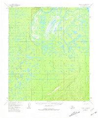Download a high-resolution, GPS-compatible USGS topo map for Nulato C-3, AK (1981 edition)