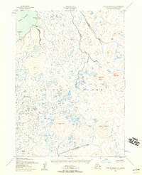Topo map Nunivak Island A-5 Alaska