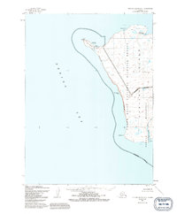 Topo map Nunivak Island A-7 Alaska