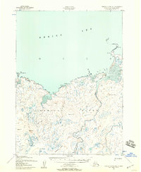 Topo map Nunivak Island B-4 Alaska