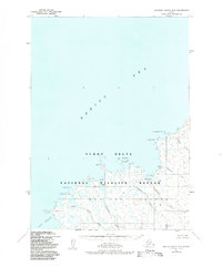 Topo map Nunivak Island B-5 Alaska