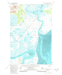 Topo map Nushagak Bay D-3 Alaska