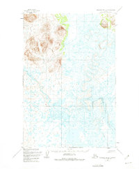 Download a high-resolution, GPS-compatible USGS topo map for Nushagak Bay D-4, AK (1975 edition)
