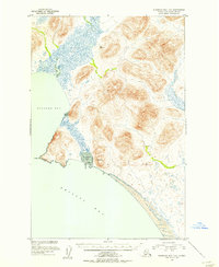 preview thumbnail of historical topo map of Dillingham County, AK in 1950
