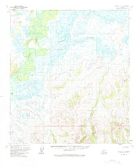 Topo map Ophir C-2 Alaska
