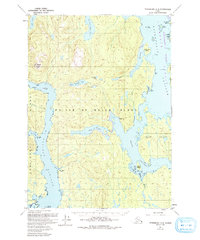 Download a high-resolution, GPS-compatible USGS topo map for Petersburg A-4, AK (1993 edition)