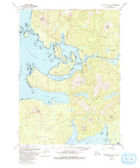 Download a high-resolution, GPS-compatible USGS topo map for Petersburg A-5, AK (1993 edition)