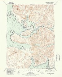 Download a high-resolution, GPS-compatible USGS topo map for Petersburg A-5, AK (1954 edition)