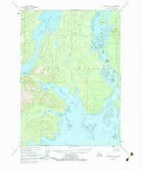 Download a high-resolution, GPS-compatible USGS topo map for Petersburg C-6, AK (1983 edition)