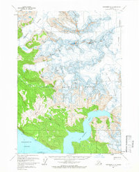Download a high-resolution, GPS-compatible USGS topo map for Petersburg D-2, AK (1966 edition)