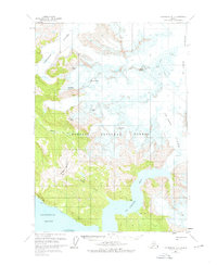 Download a high-resolution, GPS-compatible USGS topo map for Petersburg D-2, AK (1976 edition)