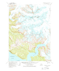 Topo map Petersburg D-2 Alaska