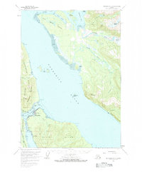 Topo map Petersburg D-3 Alaska